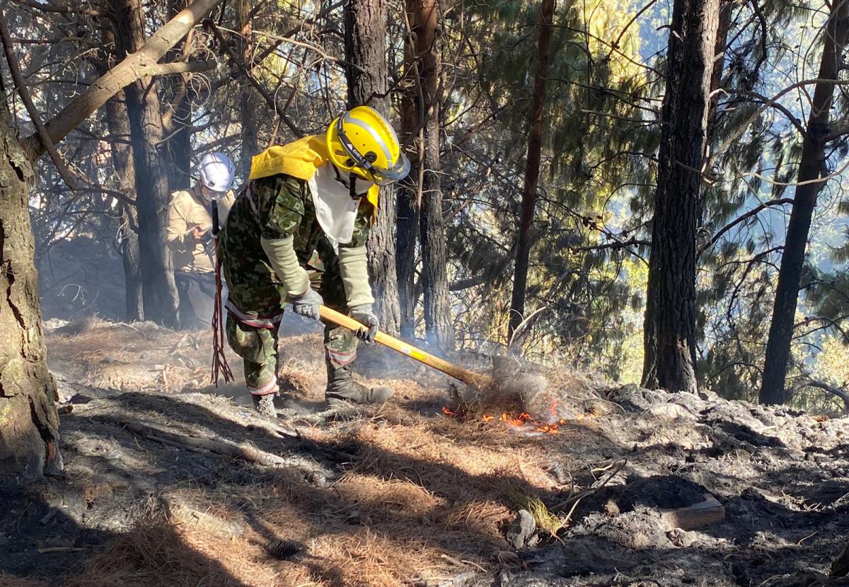 iNCENDIO COLOMBIA FORESTAL FENÓMENO DEL NIÑO