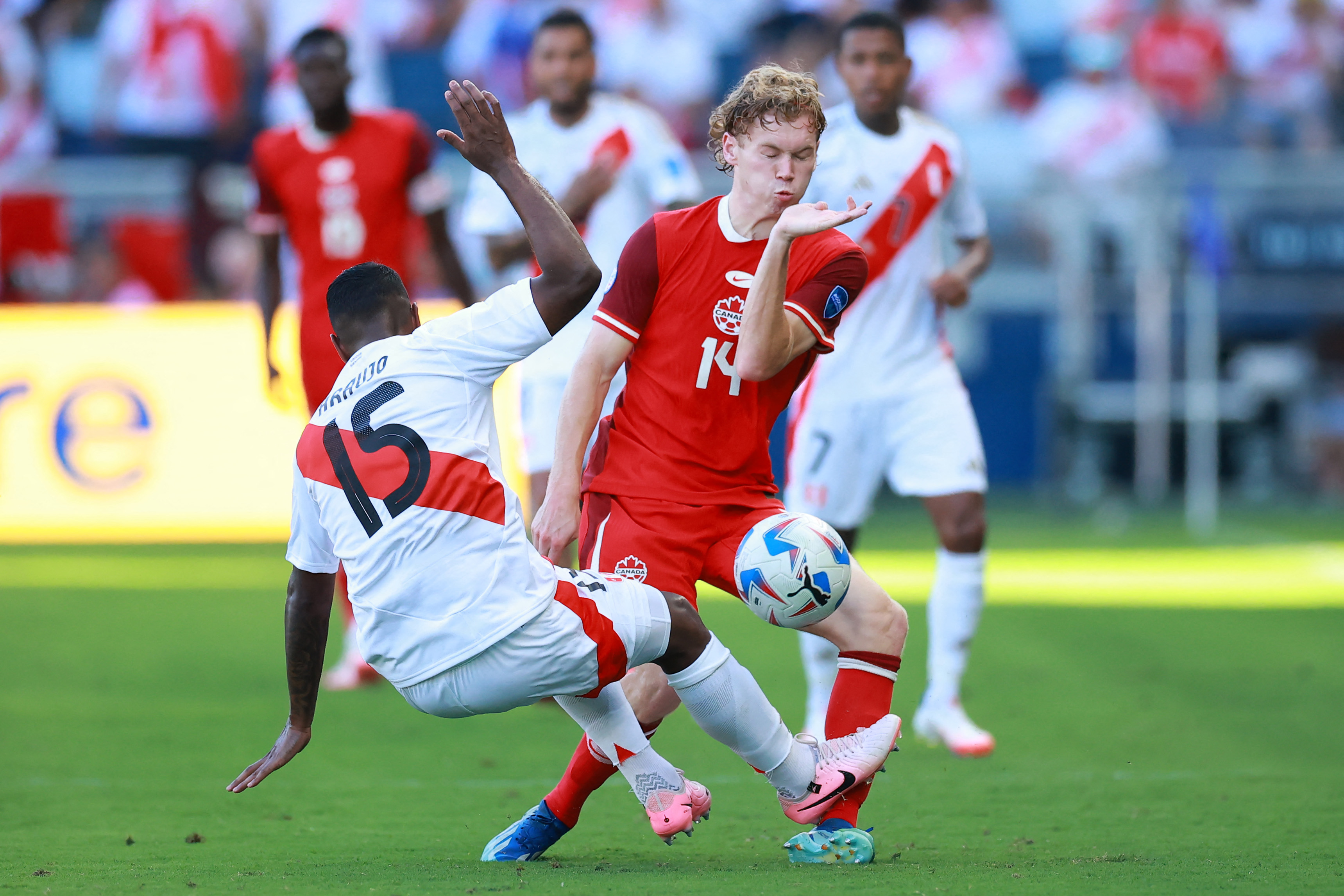 araujo falta perú