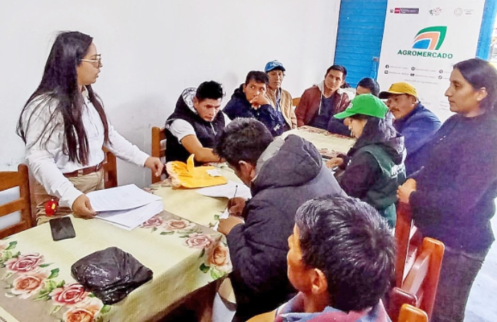 agro agricultura papa