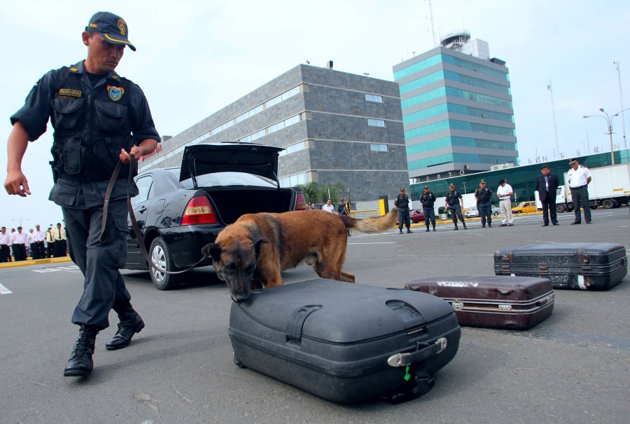 droga pnp narcóticos reino unido devida