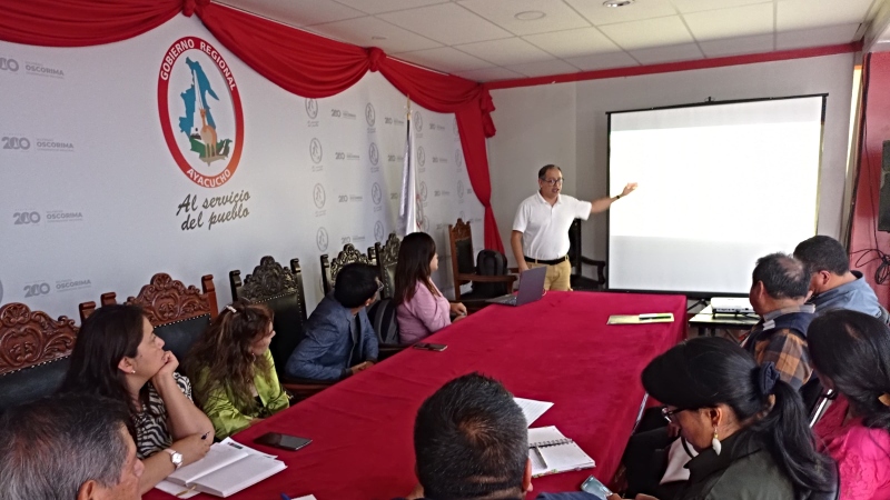 gore ayacucho