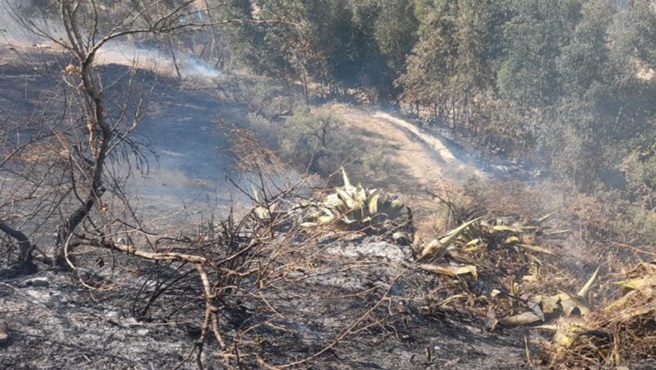 incendio forestal ancash cusco