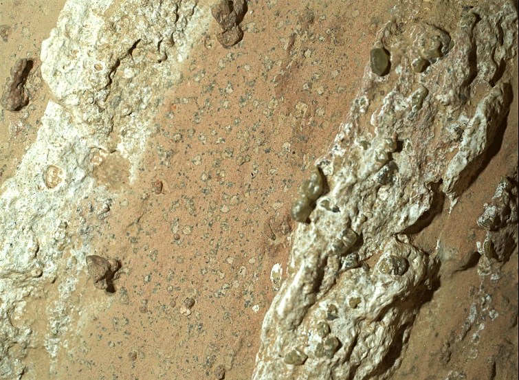 marte comida vida nasa