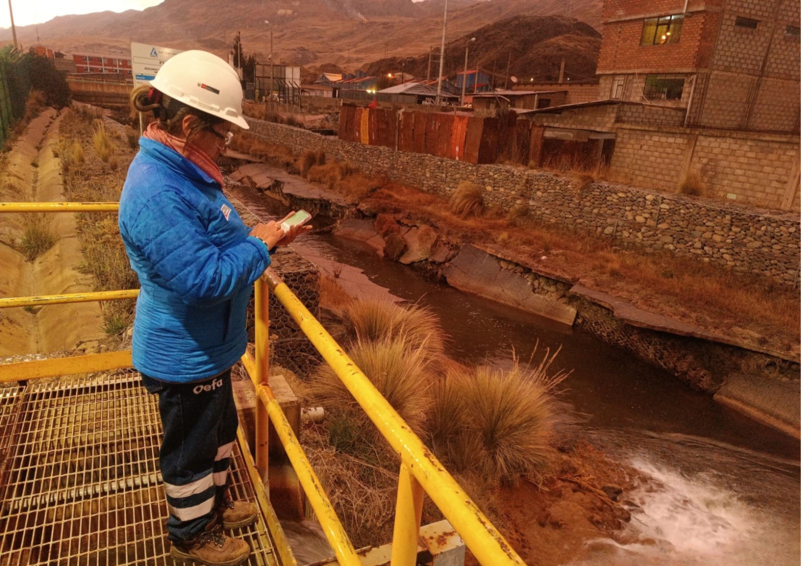OEFA truchas minería