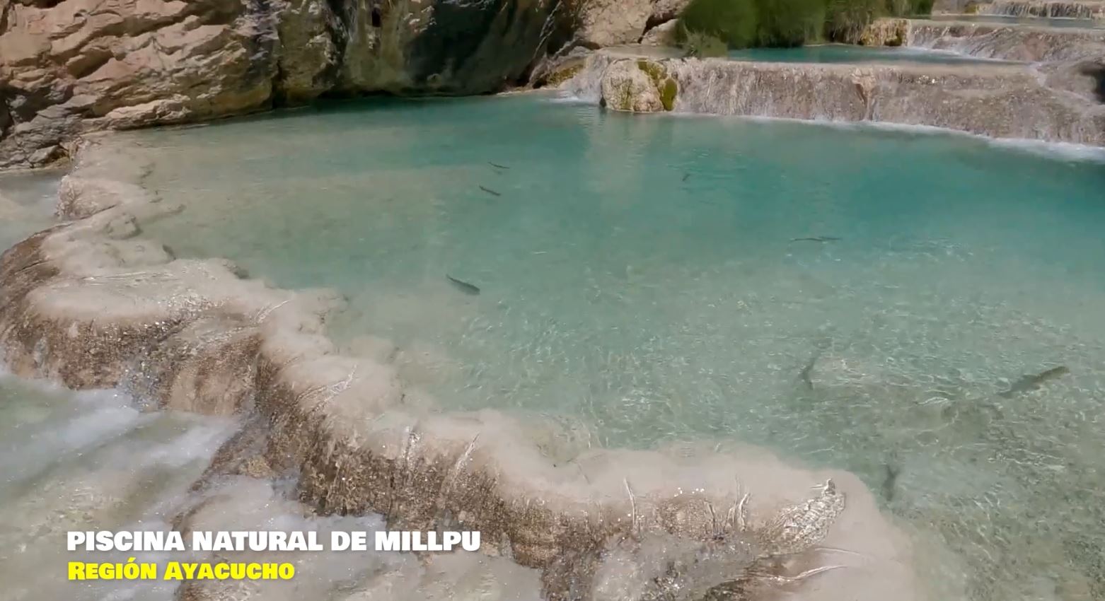 PISCINA DE MILLPU