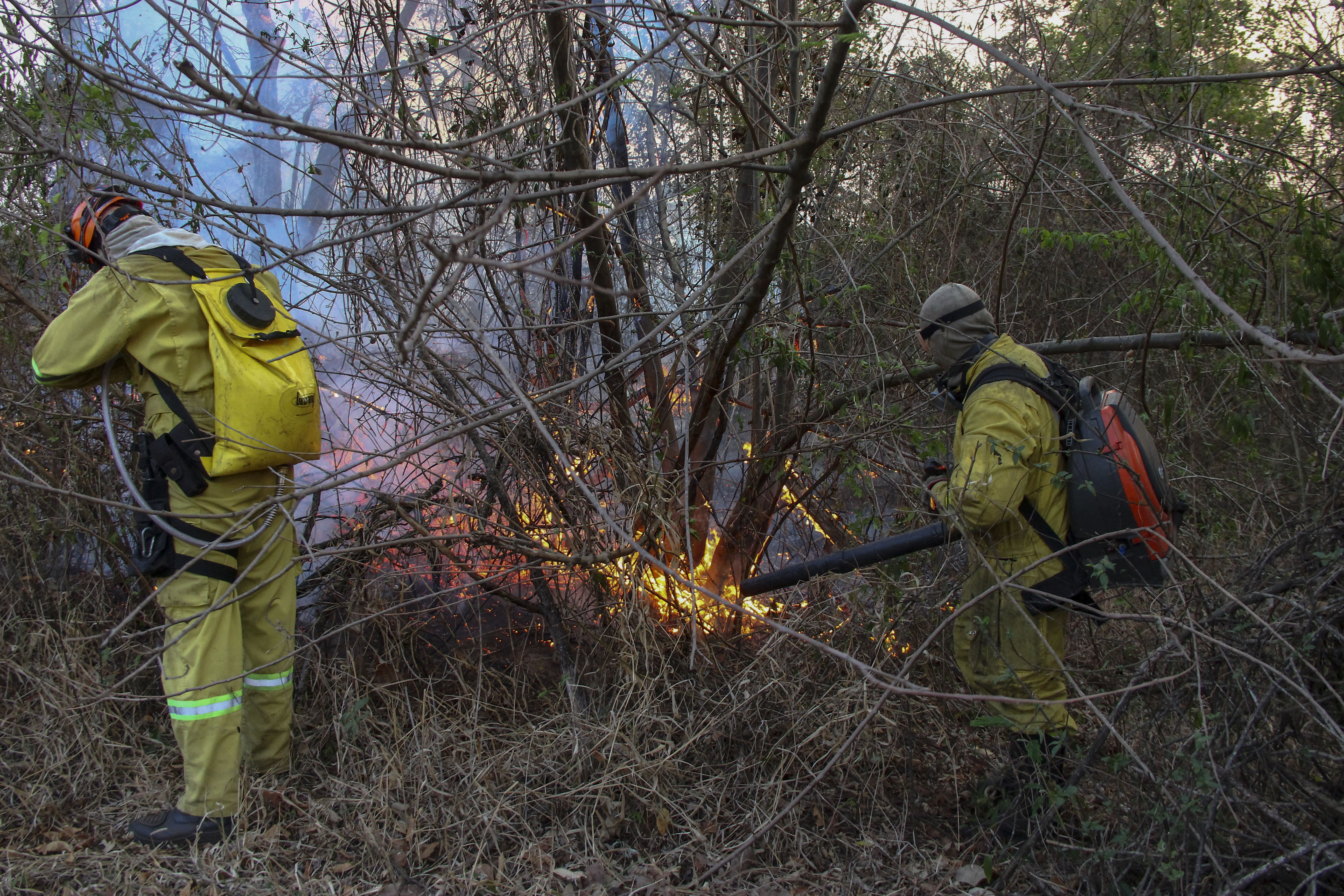 Brasil incendio forestal