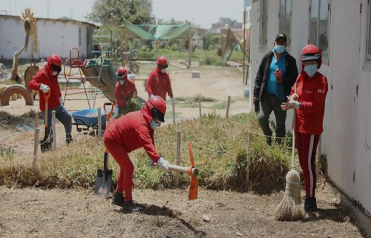 obras sociales