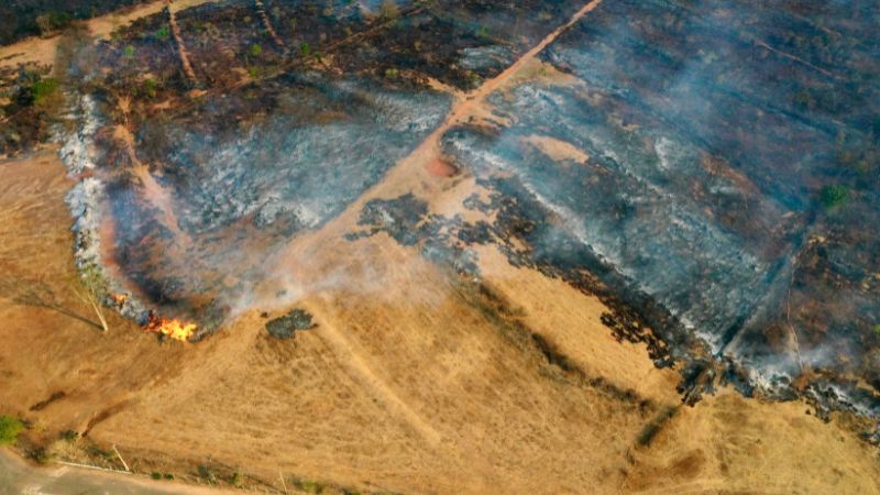 Brasil incendio forestal