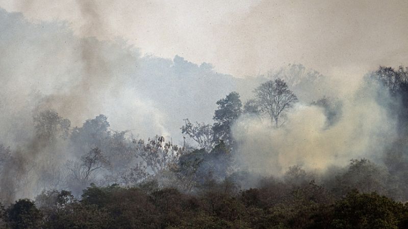 Brasil incendio forestal