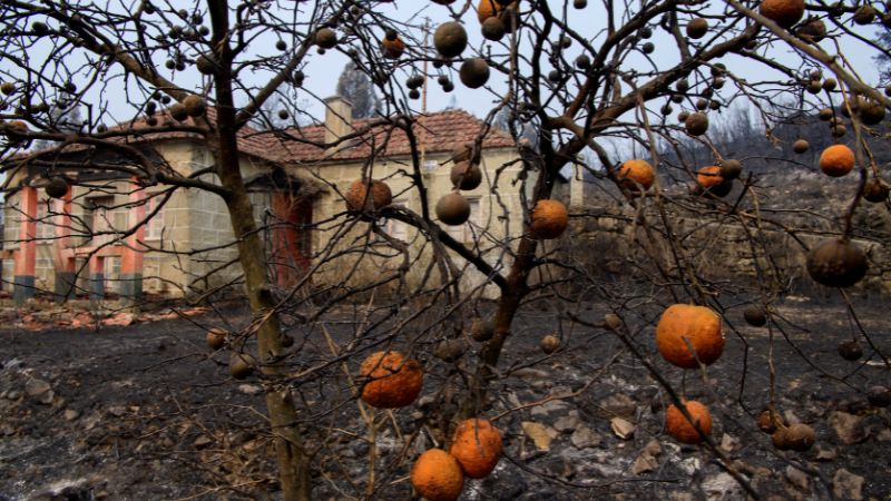 Portugal incendio forestal