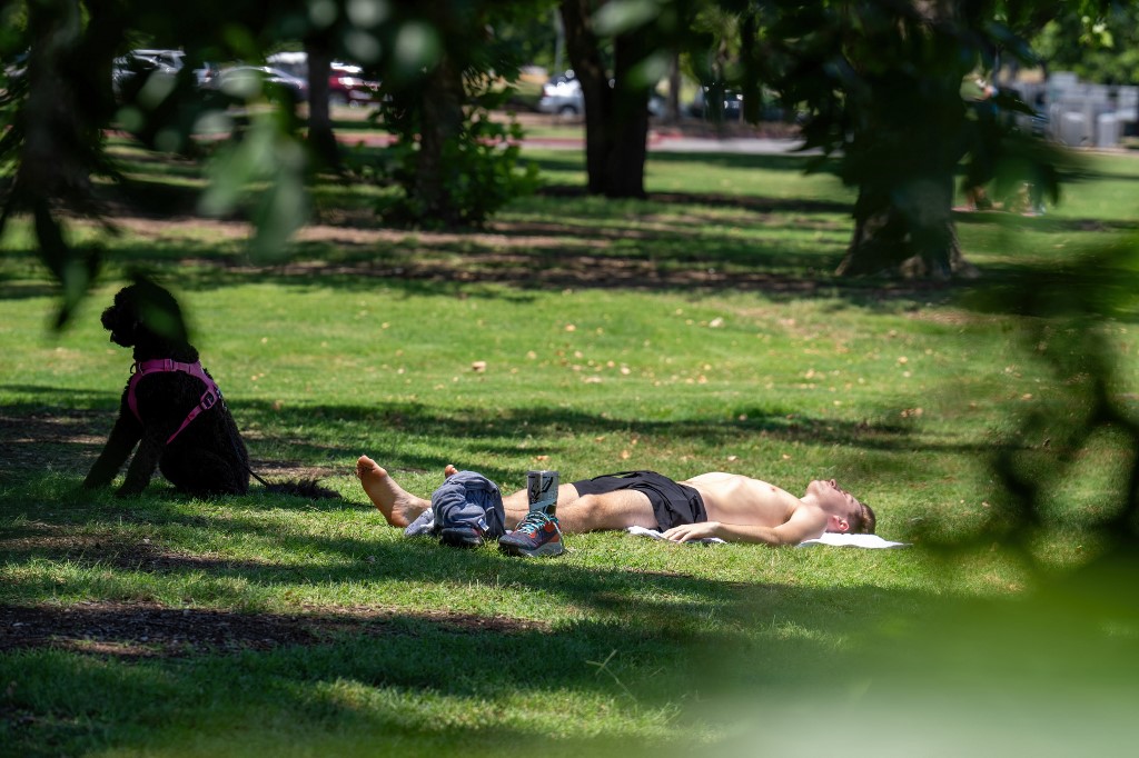 Estados Unidos: el sur sufre brutal ola de calor   