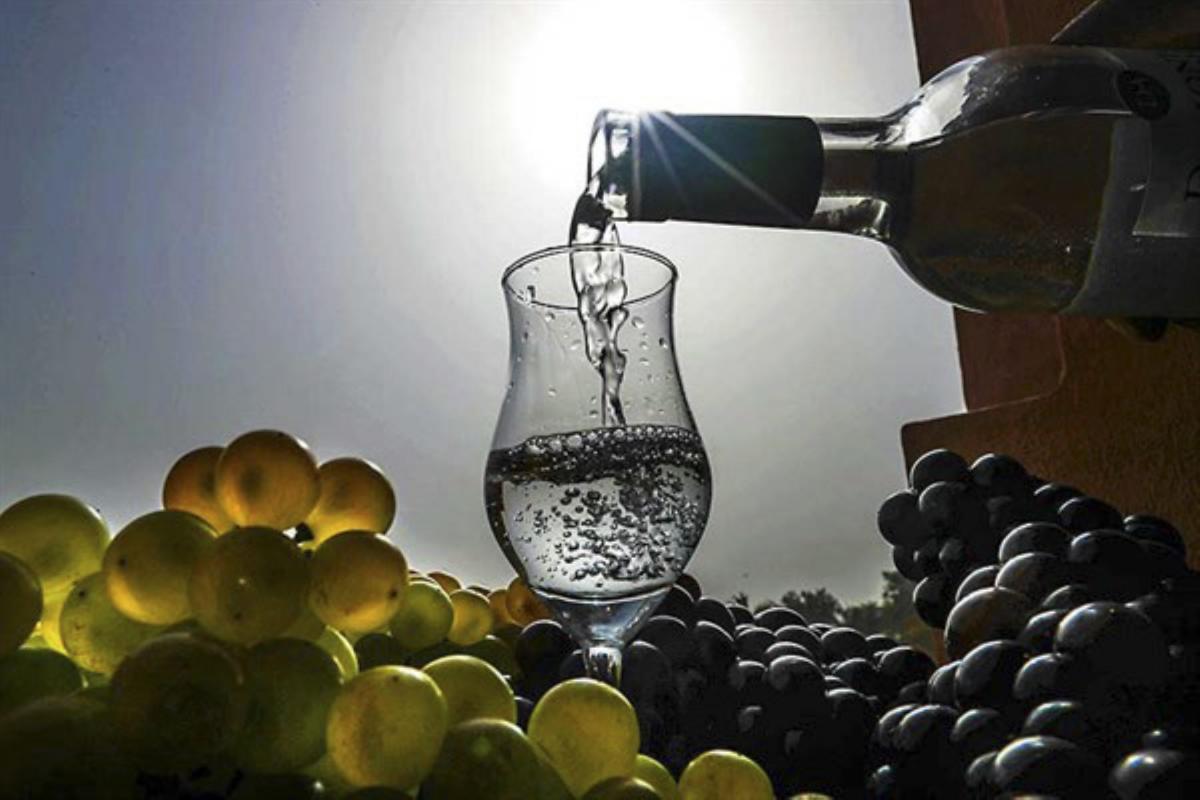 ¡Increíble!: pisco peruano entre las ‘peores’ bebidas del mundo