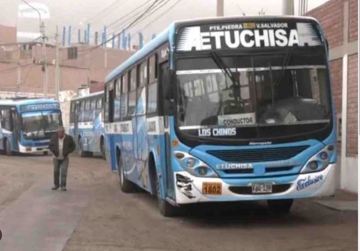 buses transporte urbano