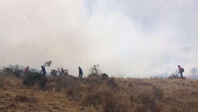 INCENDIOS FORESTALES