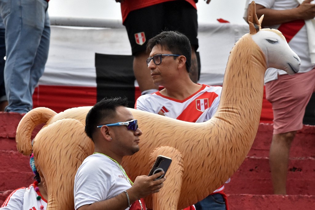 Selección Peruana - Hinchas 