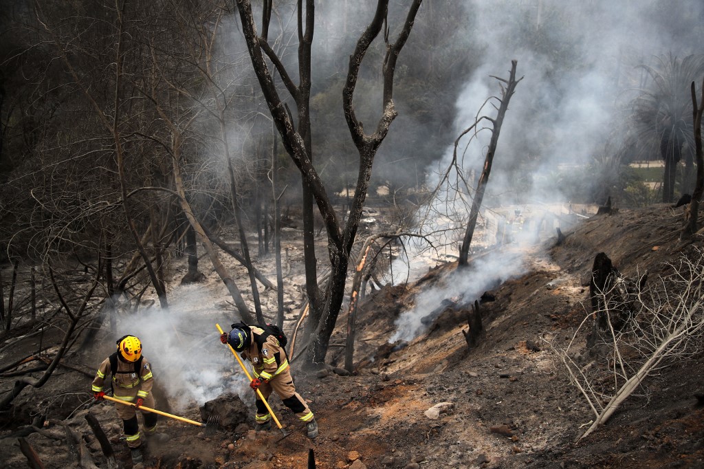 INCENDIOS FORESTALES