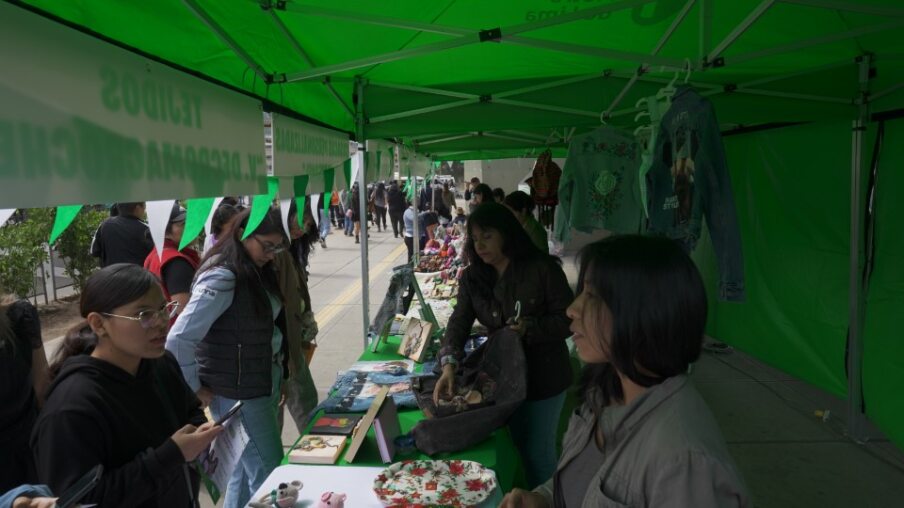 Feria mujeres línea 1 brecha de género empresarios mypes feminismo