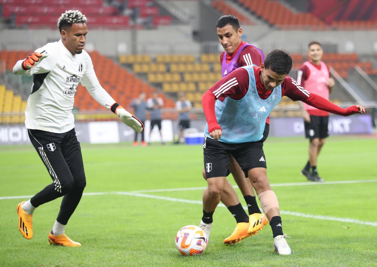 Pedro Gallese - Selección Peruana